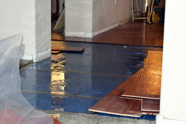 Professional Basement Flood Cleanup technician working in New Bedford, MA